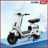 Xe Điện Dv Motor Takashi Money Pro (60V-23Ah) 5 Bình