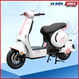 Xe điện DV Motor Takashi Mono Pro (60V-23A) 5 Bình