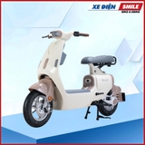 XE MÁY ĐIỆN DIBAO ELLA