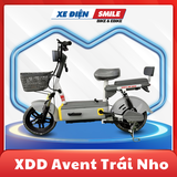 Xe Đạp Điện Avent Trái Nho - Avent Grace