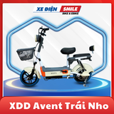 Xe Đạp Điện Avent Trái Nho - Avent Grace