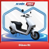 Dibao R1