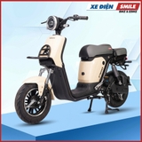 Xe Điện Takashi Figo