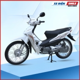 Xe máy Dibao RS 50cc