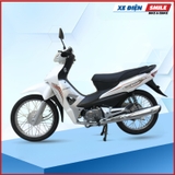 Xe máy Dibao RS 50cc