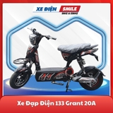 Xe Đạp Điện 133 Grant 20Ah