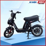 Xe Đạp Điện Avent Supreme IV
