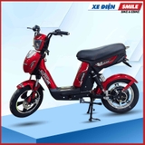 Xe Đạp Điện Avent Supreme IV
