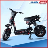 Xe Đạp Điện Xbull X3