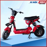 Xe Đạp Điện Xbull X3
