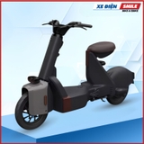 Xe Điện Dreaform Type 1 (Lithium 15A)