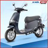 Xe Điện ESPERO GOGO-F1 Pro ghi mờ