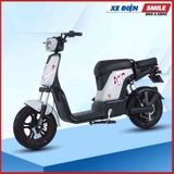 Xe điện JVC G9S NFC