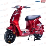 Xe Điện Takashi Mono (48V-23Ah)
