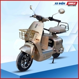 Xe Điện Hottrend Zevo Q1 ( Hottrend Q1 Option 2 )