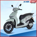 Xe Điện JVC ZH