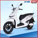 Xe Điện JVC ZH