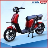 Xe Đạp Điện Kaiser Imperia