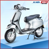 Xe Điện Takashi Crown