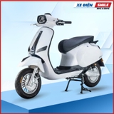 Xe Điện Takashi Crown