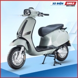 Xe Điện Takashi Crown