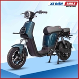 Xe Điện Takashi Figo