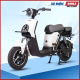 Xe Điện Takashi Figo