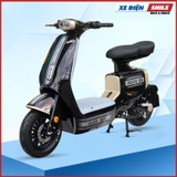 Xe Điện Takashi Money màu đen đồng