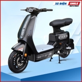 Xe Điện Takashi Money đen mờ