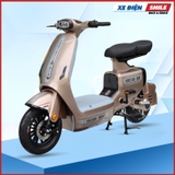 Xe Điện Takashi Money nâu titan