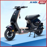 Xe Điện Takashi Mono màu đen nhám