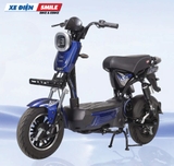 Xe Điện Takashi S8