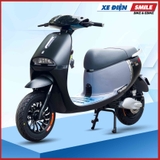 Xe Máy Điện Yaka GoGo Star