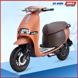 Xe Máy Điện GOGO FIONA
