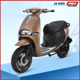Xe Máy Điện GOGO FIONA