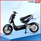 Xe Máy Điện Pege Xmen xanh tem bạc