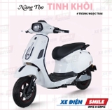 Xe Máy Điện Vespa JVC V2 Pro