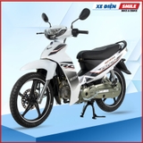Xe số 50cc ESPERO 50C2a-2