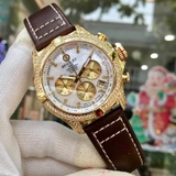 ĐỒng hồ Bentlay 1796 MGLKĐ WHITE