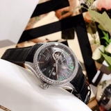 Bentlay 1784-252 MGLS BLUE LIMITIT