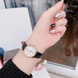 ĐỒNG HỒ STARKE SK117PM LGL WHITE