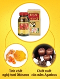 TINH CHẤT NGHỆ MÙA XUÂN VÀ NẤM AGARICUS