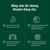 Nước hồng sâm nhung hươu Red Ginseng Extract with Deer Antlers 50mlx24 gói