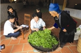 Trà Shan Tuyết Tủa Chùa