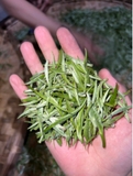 BẠCH TRÀ NGUYÊN BÚP - ORGANIC EU (200g)