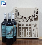 Rượu vang Fun Eagle Selected Cabernet Sauvignon