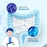 락피도 프로바이오틱스 패밀리 (2 gx100포)