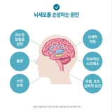포스파티딜세린 징코 플러스 (800mg x 60캡슐)