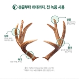 녹용 담은 홍삼 진액 (50mlx24포)