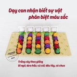 Đồ chơi nông trại trồng cây học đếm và màu sắc cho bé từ 2 tuổi